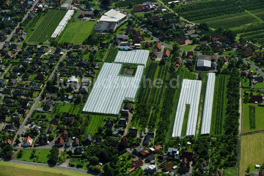 Grünendeich von oben - Gewächshausreihen zur Gemüsezucht in Grünendeich im Bundesland Niedersachsen, Deutschland