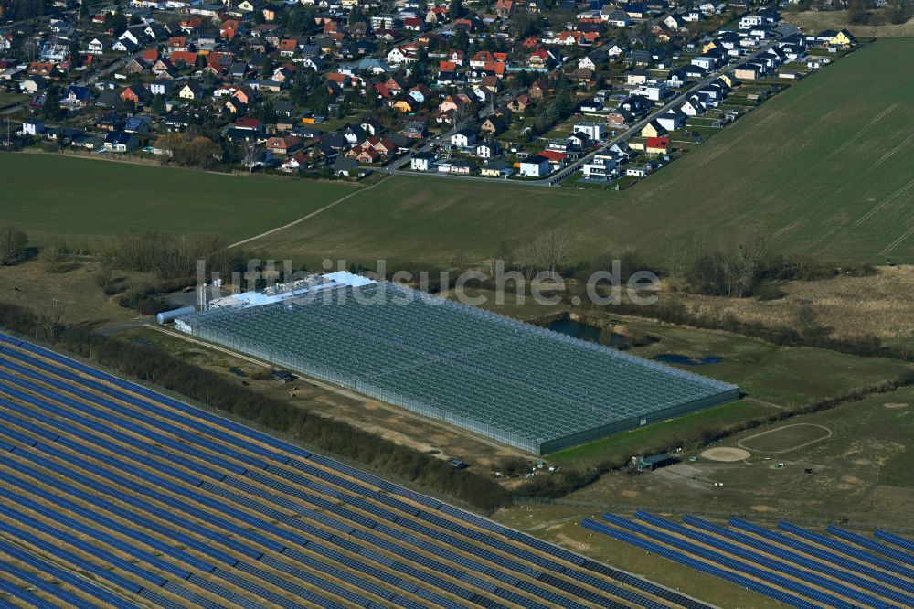 Luftbild Eiche - Gewächshausreihen zur Gemüsezucht der Havelia GmbH in Eiche im Bundesland Brandenburg, Deutschland