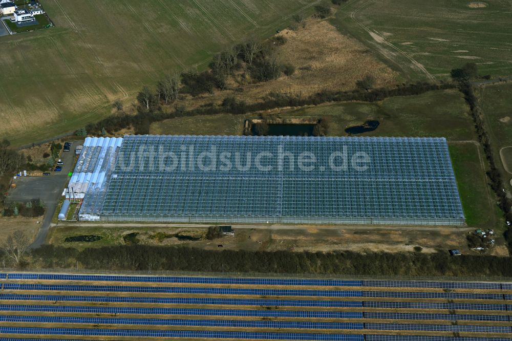 Luftbild Eiche - Gewächshausreihen zur Gemüsezucht der Havelia GmbH in Eiche im Bundesland Brandenburg, Deutschland
