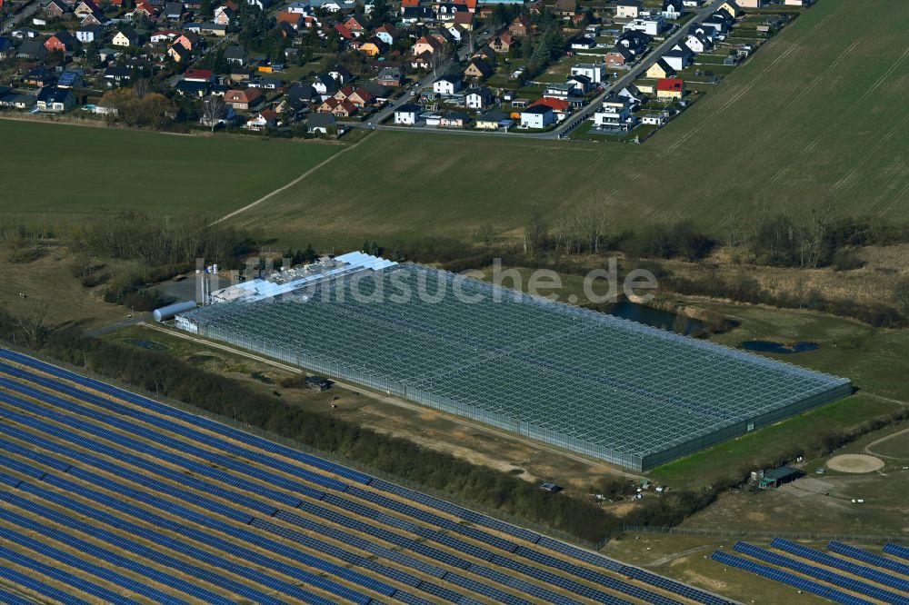 Eiche aus der Vogelperspektive: Gewächshausreihen zur Gemüsezucht der Havelia GmbH in Eiche im Bundesland Brandenburg, Deutschland