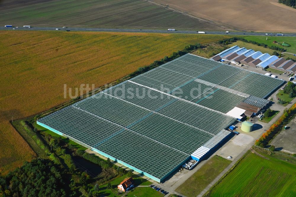 Luftaufnahme Fretzdorf - Gewächshausreihen zur Gemüsezucht der Havelia GmbH in Fretzdorf im Bundesland Brandenburg, Deutschland