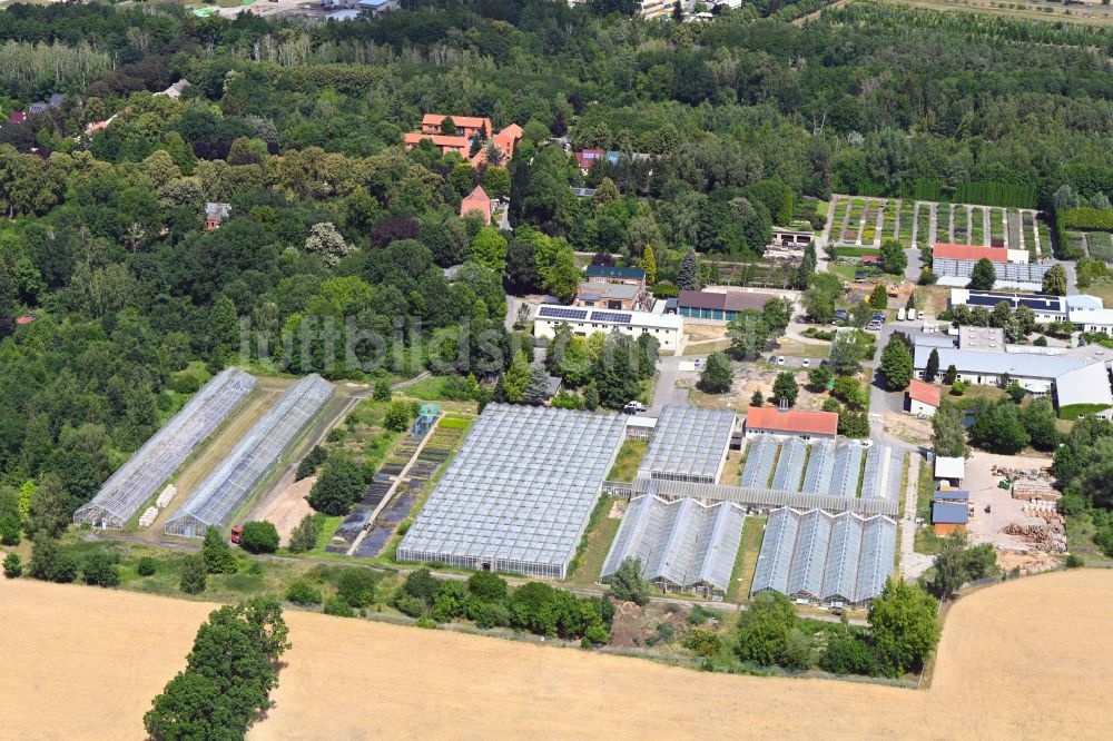 Luftbild Biesenthal - Gewächshausreihen zur Gemüsezucht der Hoffnungstaler Werkstätten gGmbH in Biesenthal im Bundesland Brandenburg, Deutschland