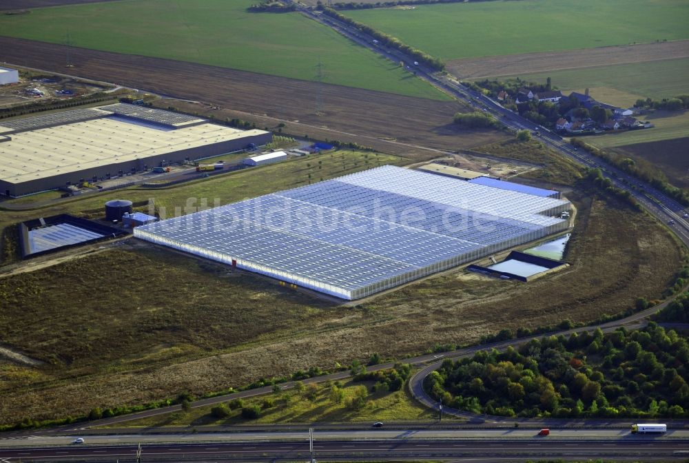 Luftbild Osterweddingen - Gewächshausreihen zur Gemüsezucht in Osterweddingen im Bundesland Sachsen-Anhalt, Deutschland