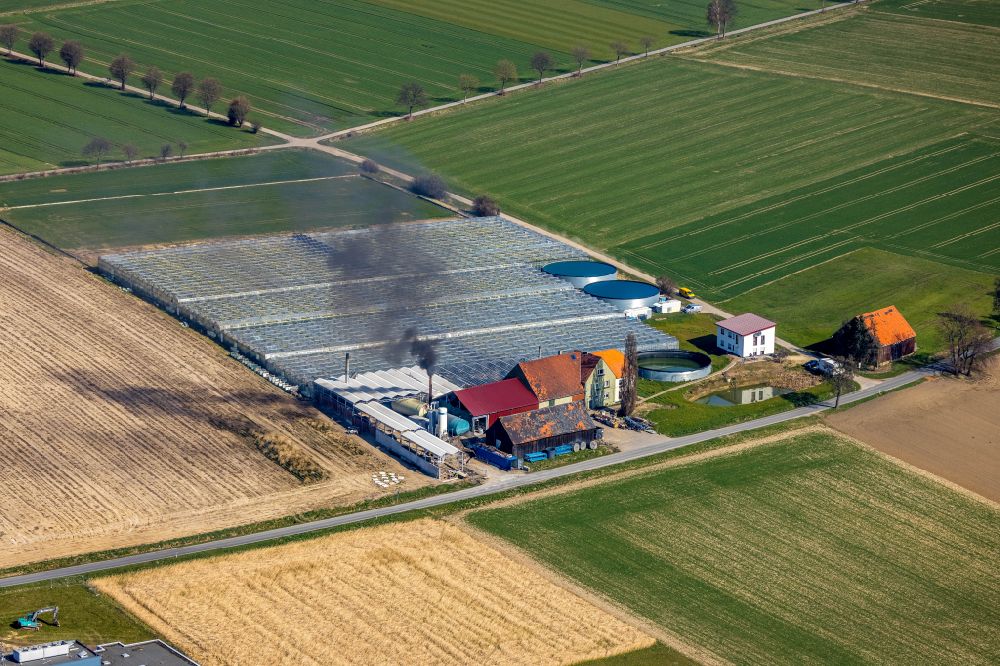 Werl aus der Vogelperspektive: Gewächshausreihen zur Gemüsezucht Tomaten Stemann in Werl im Bundesland Nordrhein-Westfalen, Deutschland