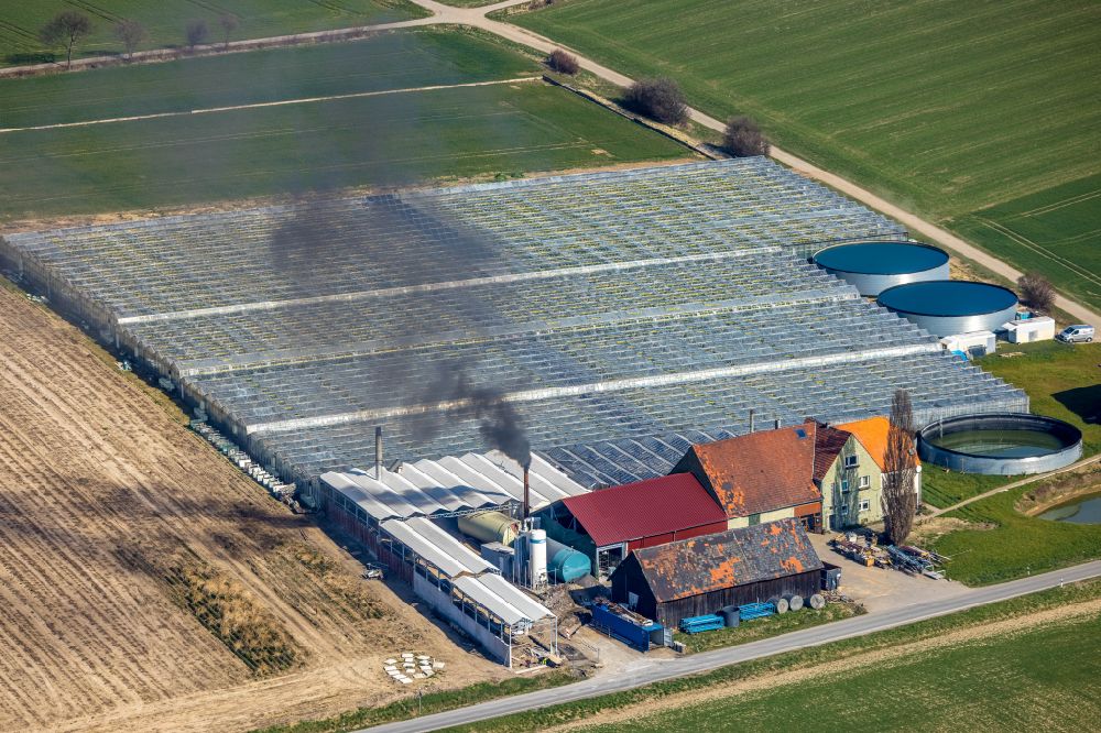 Luftbild Werl - Gewächshausreihen zur Gemüsezucht Tomaten Stemann in Werl im Bundesland Nordrhein-Westfalen, Deutschland