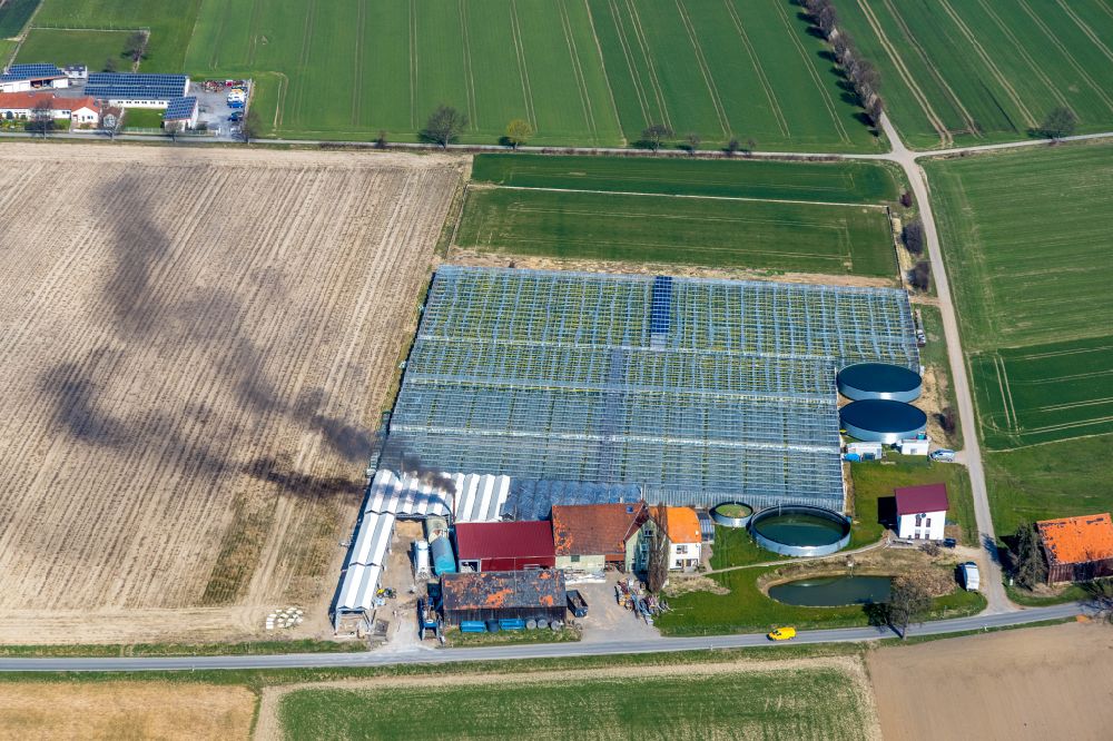 Luftaufnahme Werl - Gewächshausreihen zur Gemüsezucht Tomaten Stemann in Werl im Bundesland Nordrhein-Westfalen, Deutschland