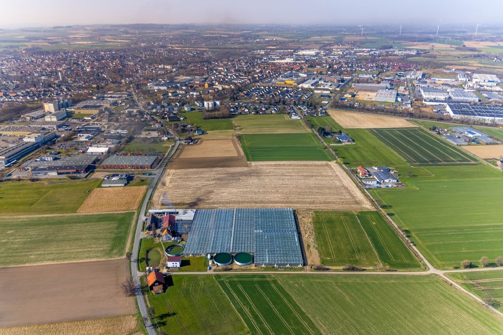 Werl aus der Vogelperspektive: Gewächshausreihen zur Gemüsezucht Tomaten Stemann in Werl im Bundesland Nordrhein-Westfalen, Deutschland