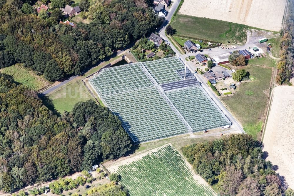 Luftbild Nettetal - Gewächshausreihen zur Pflanzenzucht in Nettetal im Bundesland Nordrhein-Westfalen, Deutschland