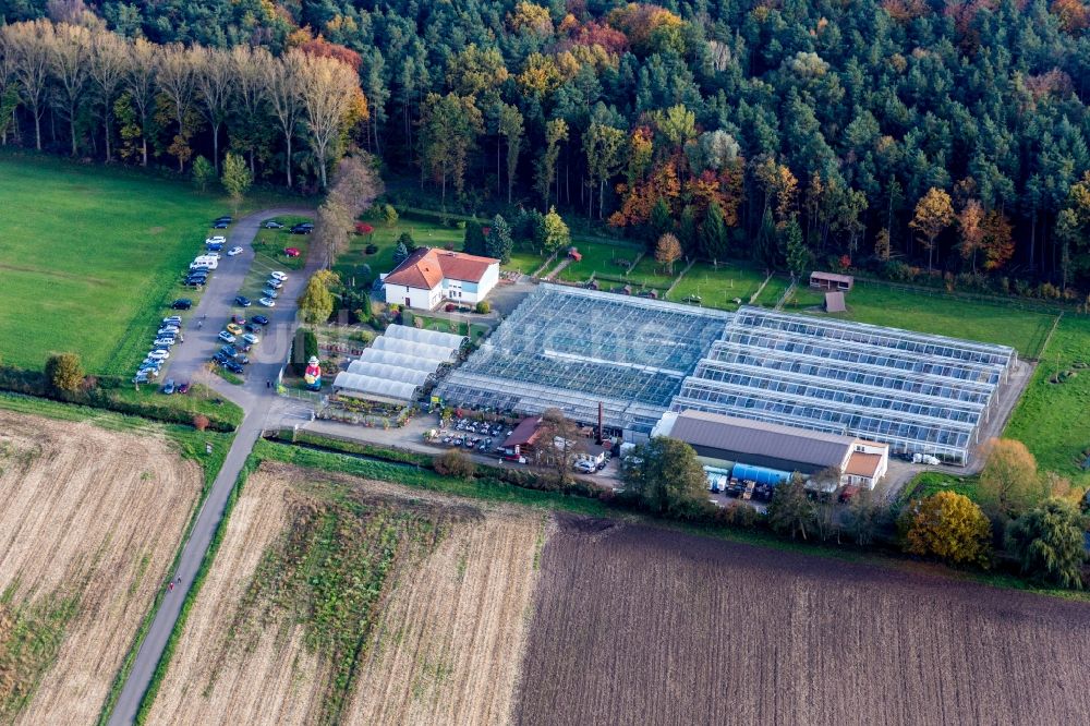 Luftaufnahme Steinfeld - Gewächshausreihen zur Sukkulentenzucht in Steinfeld im Bundesland Rheinland-Pfalz, Deutschland