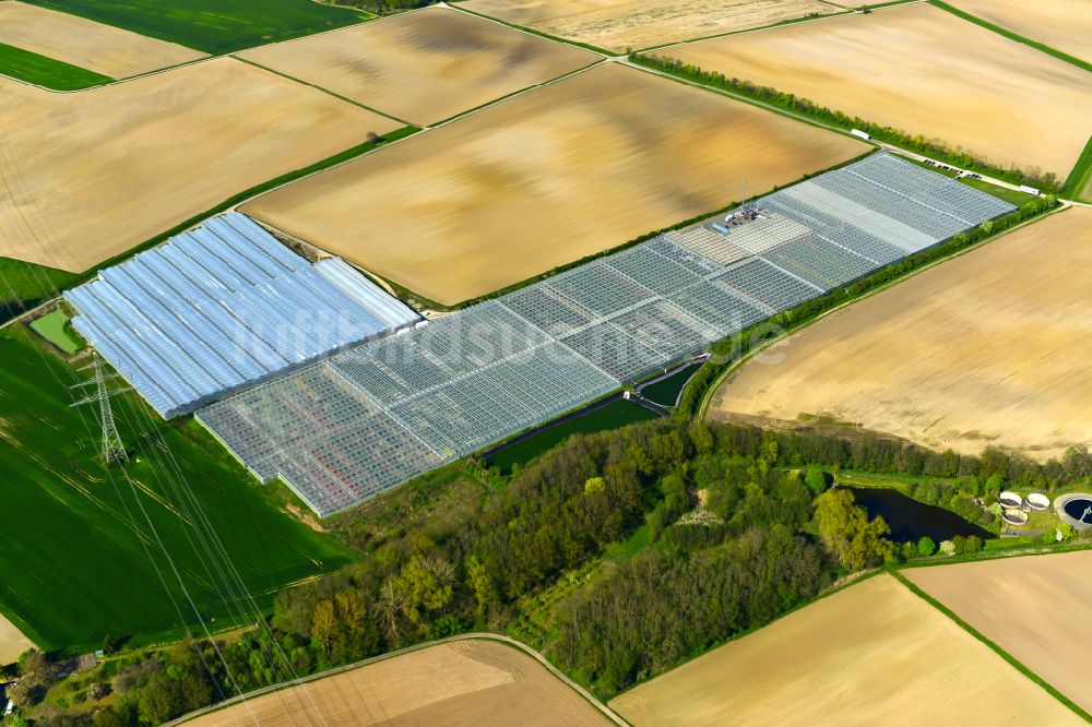 Wiesentheid von oben - Gewächshausreihen zur Zierpflanzenproduktion in Wiesentheid im Bundesland Bayern, Deutschland