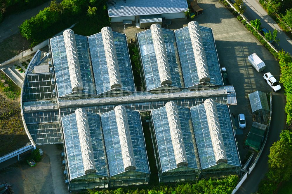 Jena von oben - Gewächshäuser des Forschungs- Gebäude und Bürokomplex Max-Planck-Institut für chemische Ökologie im Ortsteil Ammerbach in Jena im Bundesland Thüringen, Deutschland