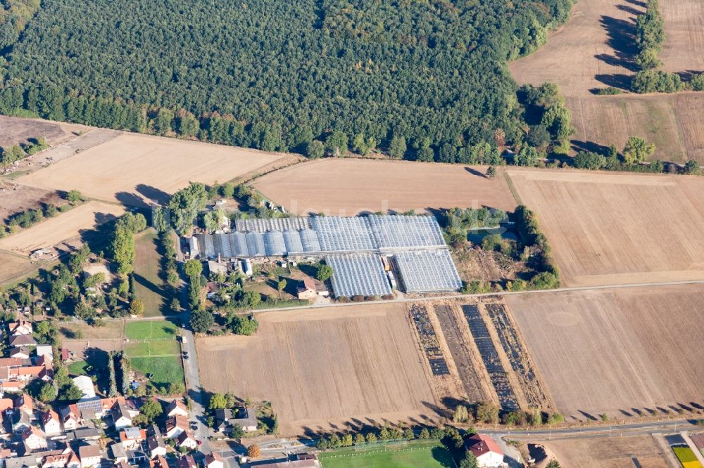 Luftaufnahme Hergershausen - Gewächshäuser zur Blumenzucht in Hergershausen im Bundesland Hessen, Deutschland