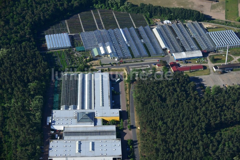 Luftaufnahme Michendorf - Gewerbegebiet und Blumenmärkte im Osten von Michendorf im Bundesland Brandenburg