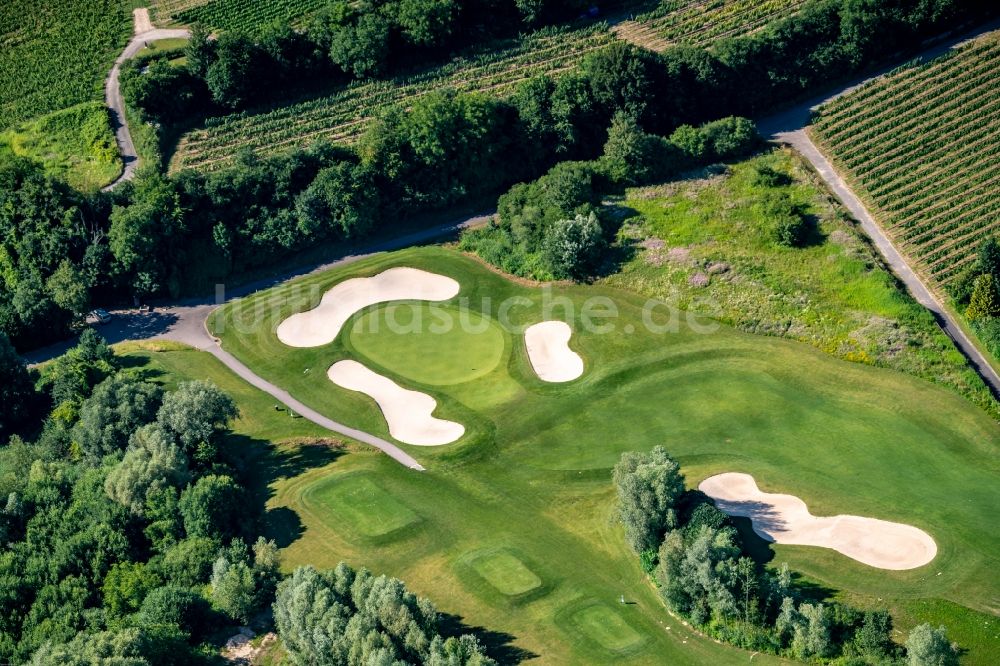 Luftaufnahme Herbolzheim - Golfplatz Breisgau Golf in Herbolzheim im Bundesland Baden-Württemberg, Deutschland