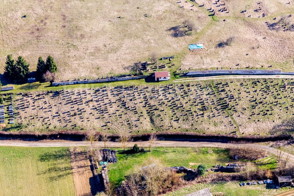 Luftaufnahme Ettendorf - Grabreihen auf dem Gelände des Friedhofes in Ettendorf in Grand Est, Frankreich