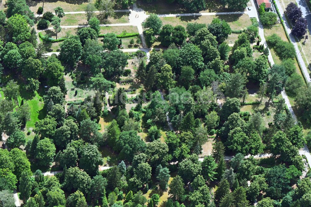 Luftbild Berlin - Grabreihen auf dem Gelände des Friedhofes Pankow III in Berlin, Deutschland