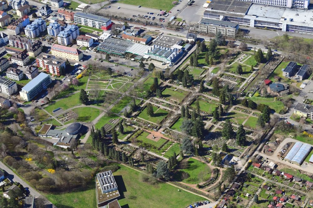 Luftaufnahme Lörrach - Grabreihen auf dem Gelände des Hauptfriedhofes in Lörrach im Bundesland Baden-Württemberg, Deutschland