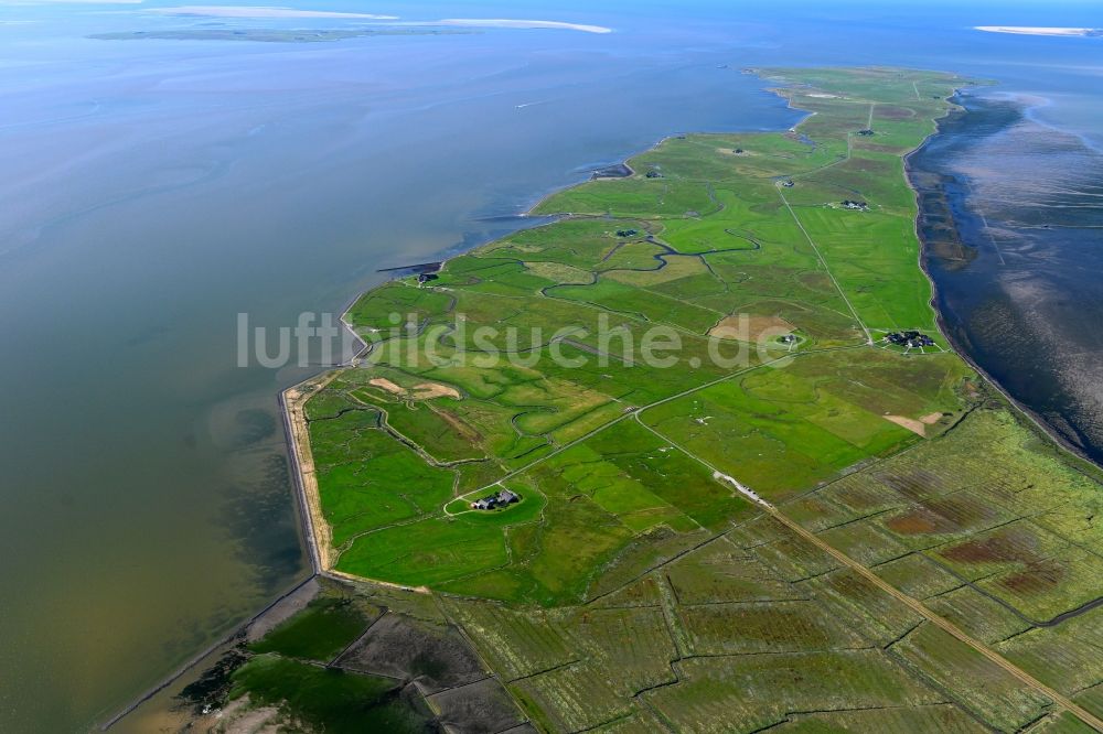 Langeneß von oben - Grasflächen- Strukturen einer Hallig- Landschaft in Langeneß im Bundesland Schleswig-Holstein