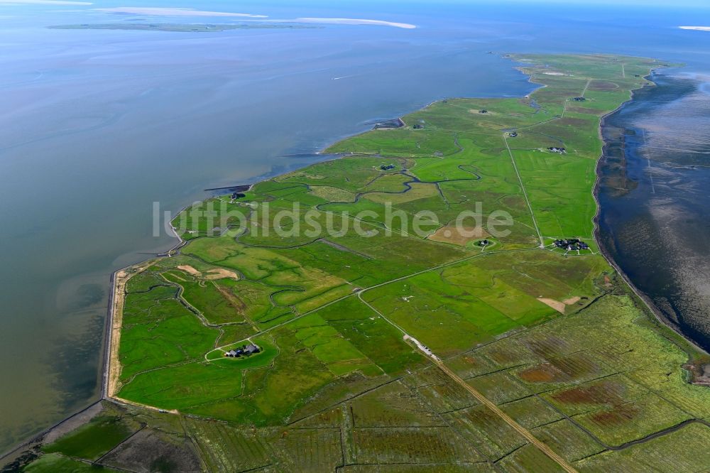 Langeneß aus der Vogelperspektive: Grasflächen- Strukturen einer Hallig- Landschaft in Langeneß im Bundesland Schleswig-Holstein