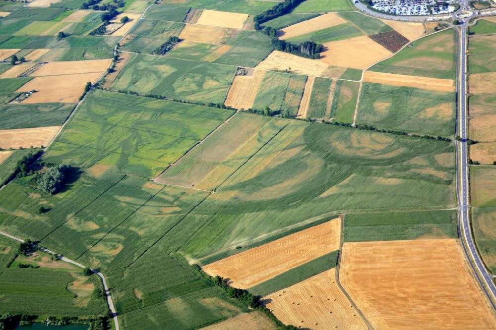 Luftbild Rust - Grasflächen- und Ackerland- Strukturen in der Landschaft am Oberrhein in Rust im Bundesland Baden-Württemberg, Deutschland
