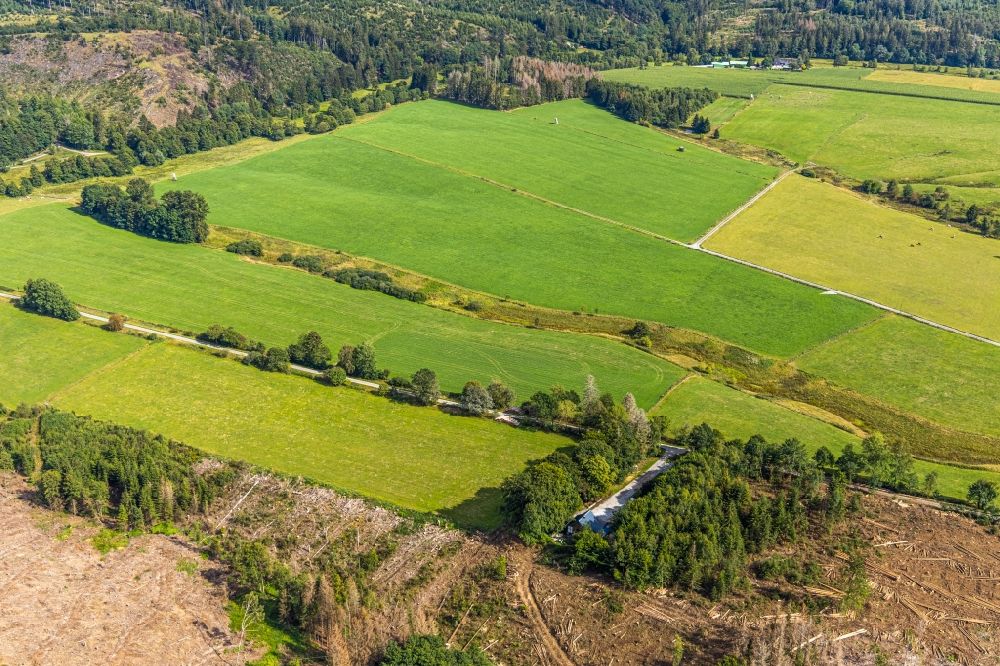 Luftaufnahme Brilon - Grasflächen- Strukturen einer Feld- Landschaft Abachtal in Brilon im Bundesland Nordrhein-Westfalen, Deutschland