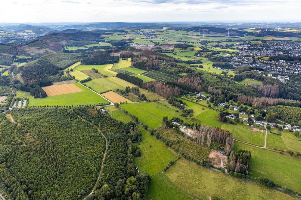Luftbild Brilon - Grasflächen- Strukturen einer Feld- Landschaft Abachtal in Brilon im Bundesland Nordrhein-Westfalen, Deutschland