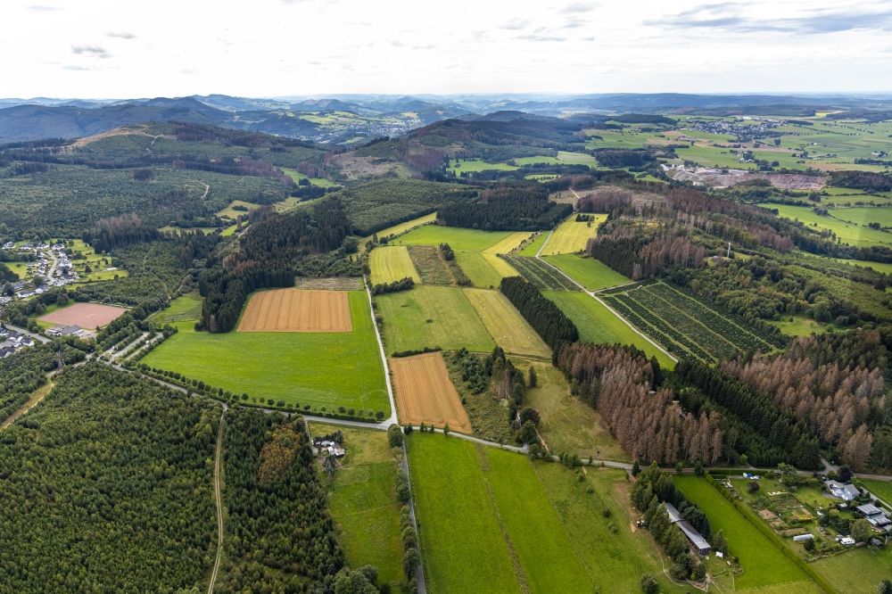 Luftaufnahme Brilon - Grasflächen- Strukturen einer Feld- Landschaft Abachtal in Brilon im Bundesland Nordrhein-Westfalen, Deutschland