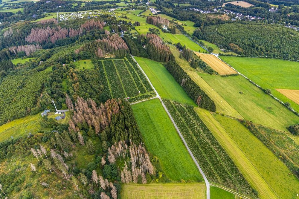 Brilon von oben - Grasflächen- Strukturen einer Feld- Landschaft Abachtal in Brilon im Bundesland Nordrhein-Westfalen, Deutschland