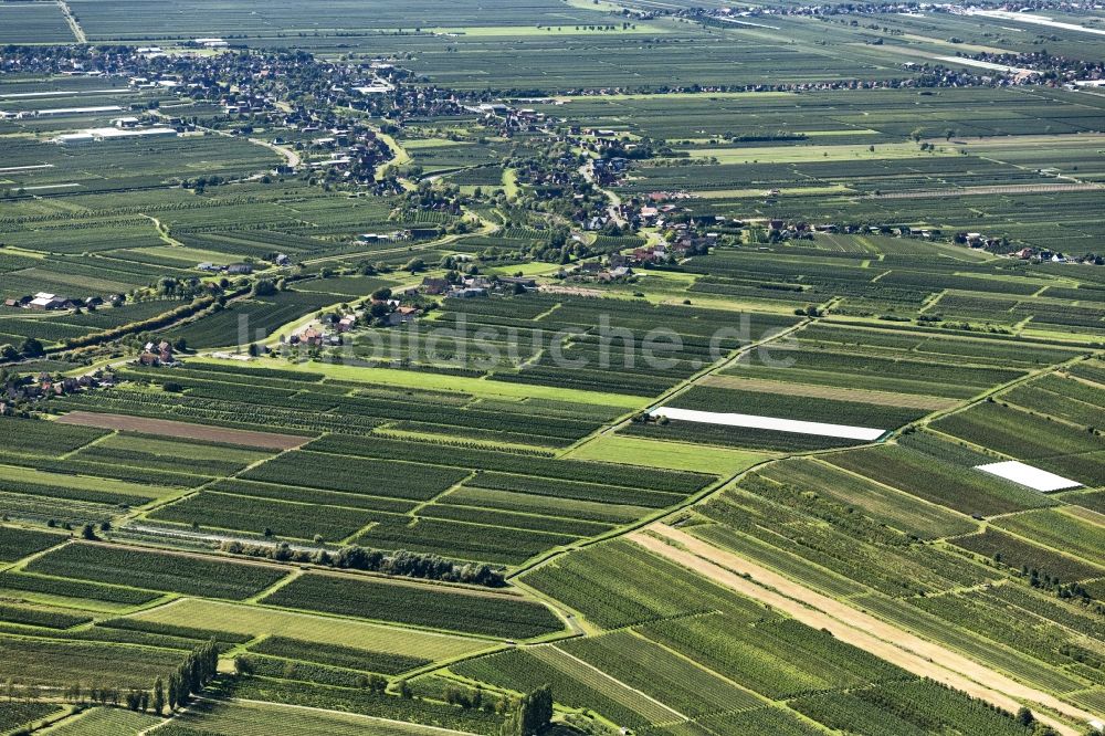 Luftbild Jork - Grasflächen- Strukturen einer Feld- Landschaft Altes Land in Jork im Bundesland Niedersachsen, Deutschland