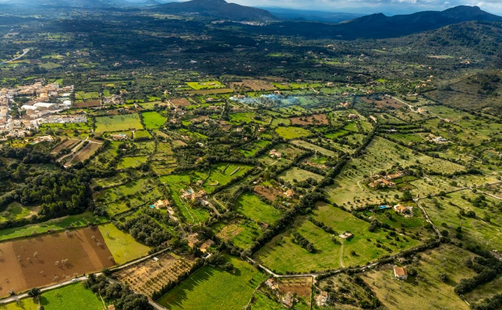 Arta aus der Vogelperspektive: Grasflächen- Strukturen einer Feld- Landschaft in Arta in Balearische Insel Mallorca, Spanien