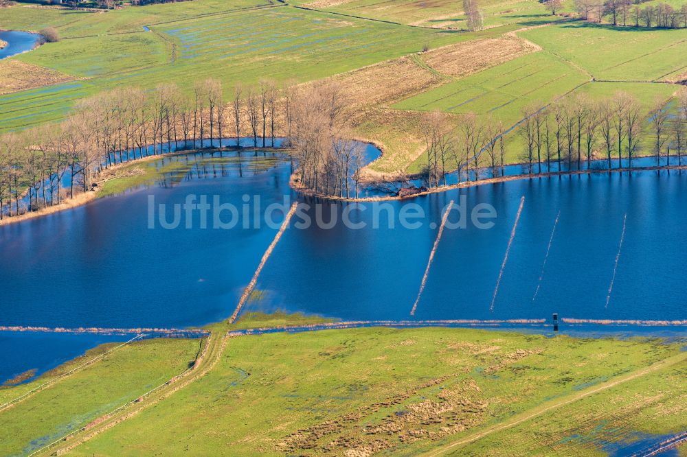 Luftbild Hammah - Grasflächen- Strukturen einer Feld- Landschaft bei anhaltenden Regenwetter in Hammah im Bundesland Niedersachsen, Deutschland