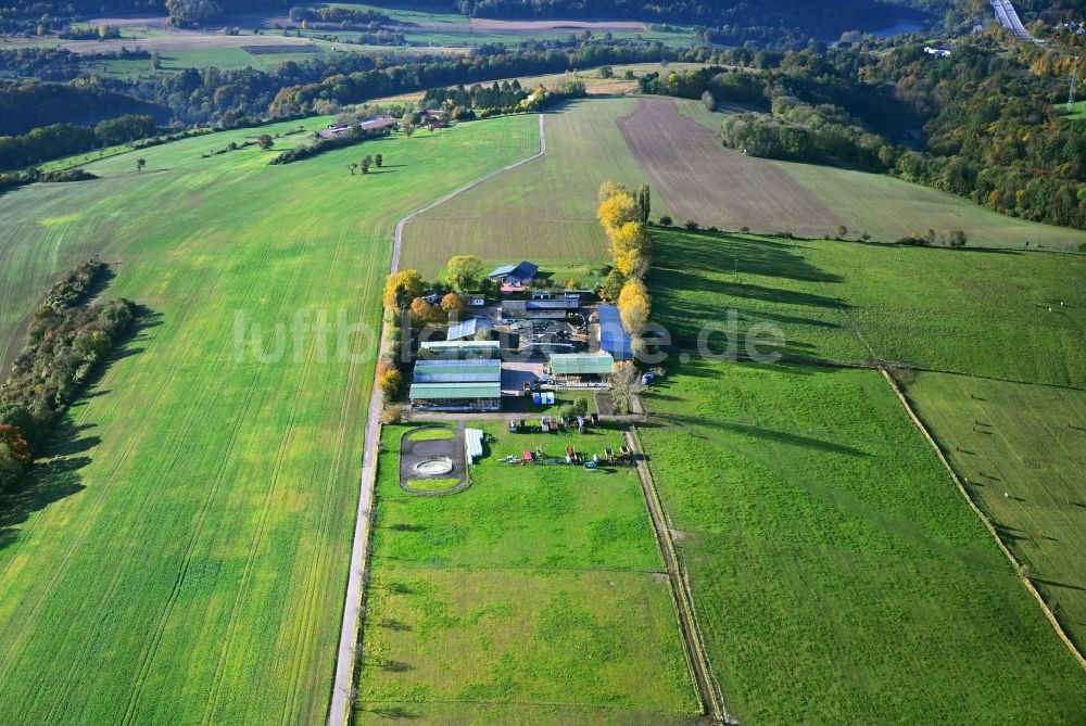 Luftbild Bischmisheim - Grasflächen- Strukturen einer Feld- Landschaft in Bischmisheim im Bundesland Saarland, Deutschland