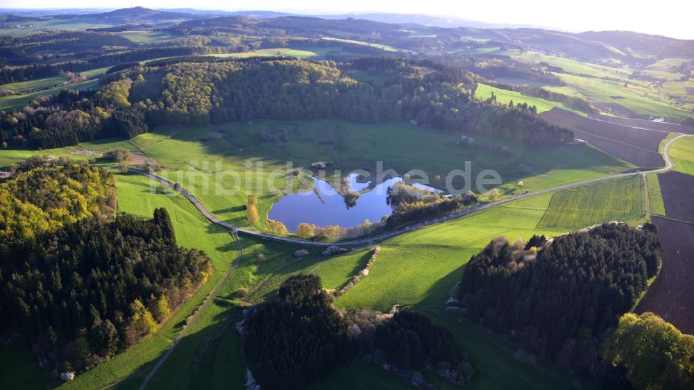 Boos aus der Vogelperspektive: Grasflächen- Strukturen einer Feld- Landschaft Booser Doppelmaar in Boos im Bundesland Rheinland-Pfalz, Deutschland