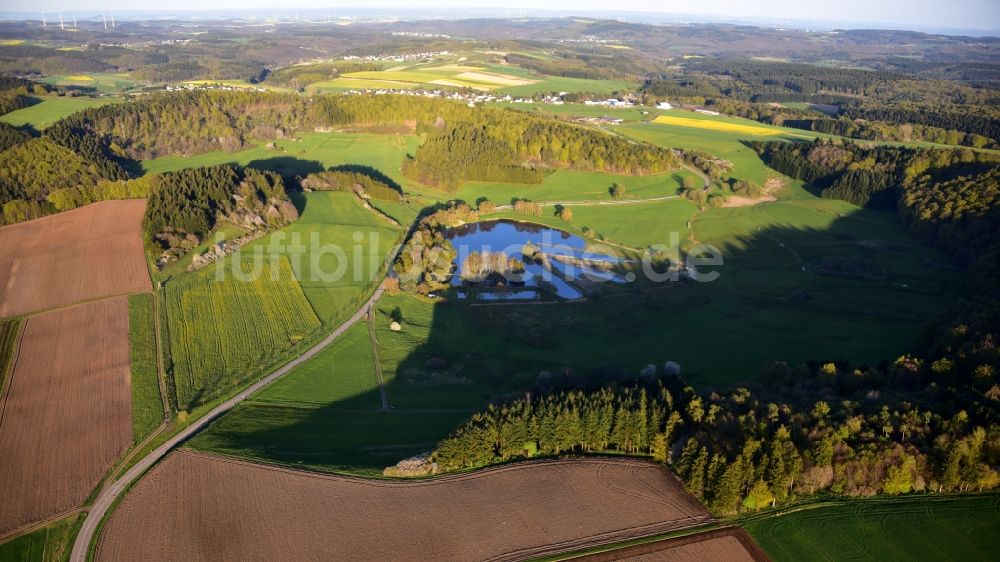 Luftbild Boos - Grasflächen- Strukturen einer Feld- Landschaft Booser Doppelmaar in Boos im Bundesland Rheinland-Pfalz, Deutschland