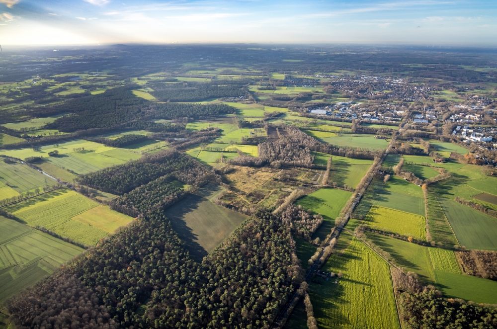 Dorsten aus der Vogelperspektive: Grasflächen- Strukturen einer Feld- Landschaft in Dorsten im Bundesland Nordrhein-Westfalen, Deutschland