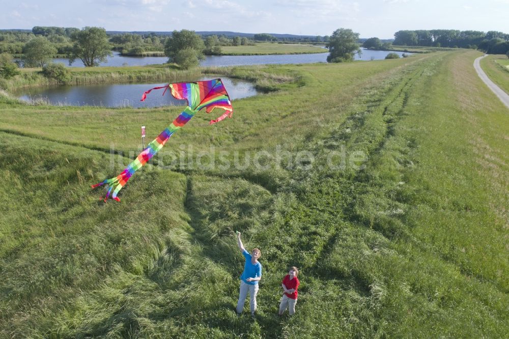 Bleckede aus der Vogelperspektive: Grasflächen- Strukturen einer Feld- Landschaft mit Drachen- Flug einer Familie in Bleckede im Bundesland Niedersachsen, Deutschland
