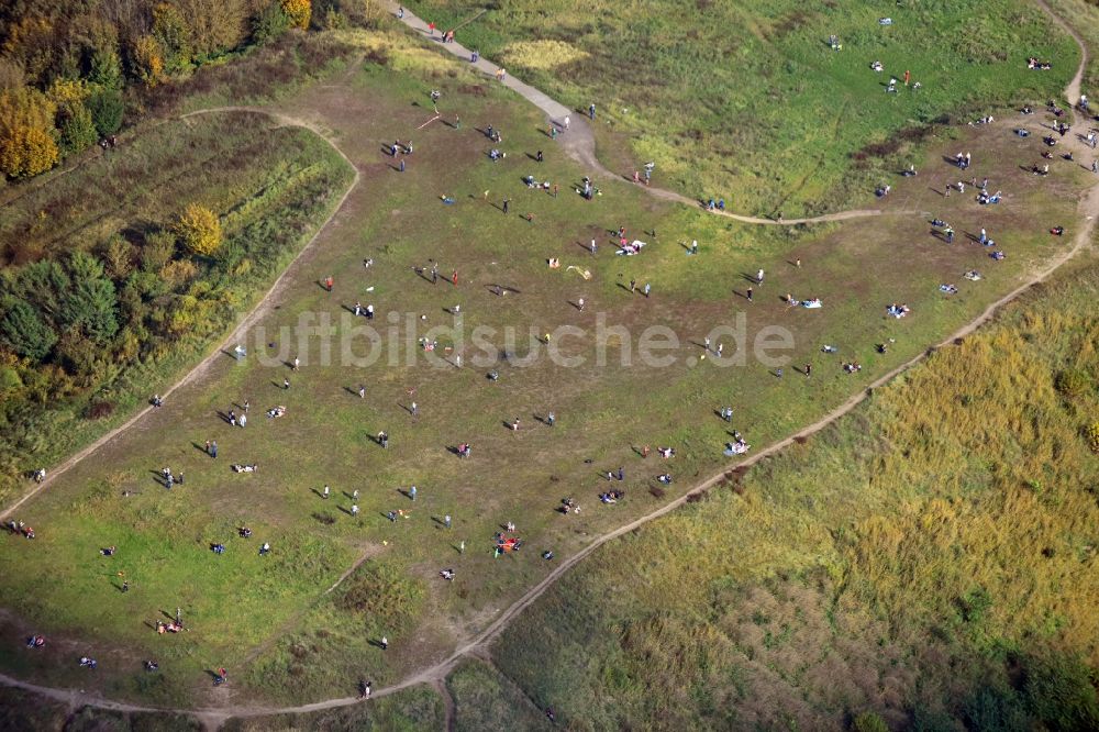 Luftaufnahme Berlin - Grasflächen- Strukturen einer Feld- Landschaft Drachenberg im Ortsteil Charlottenburg in Berlin, Deutschland