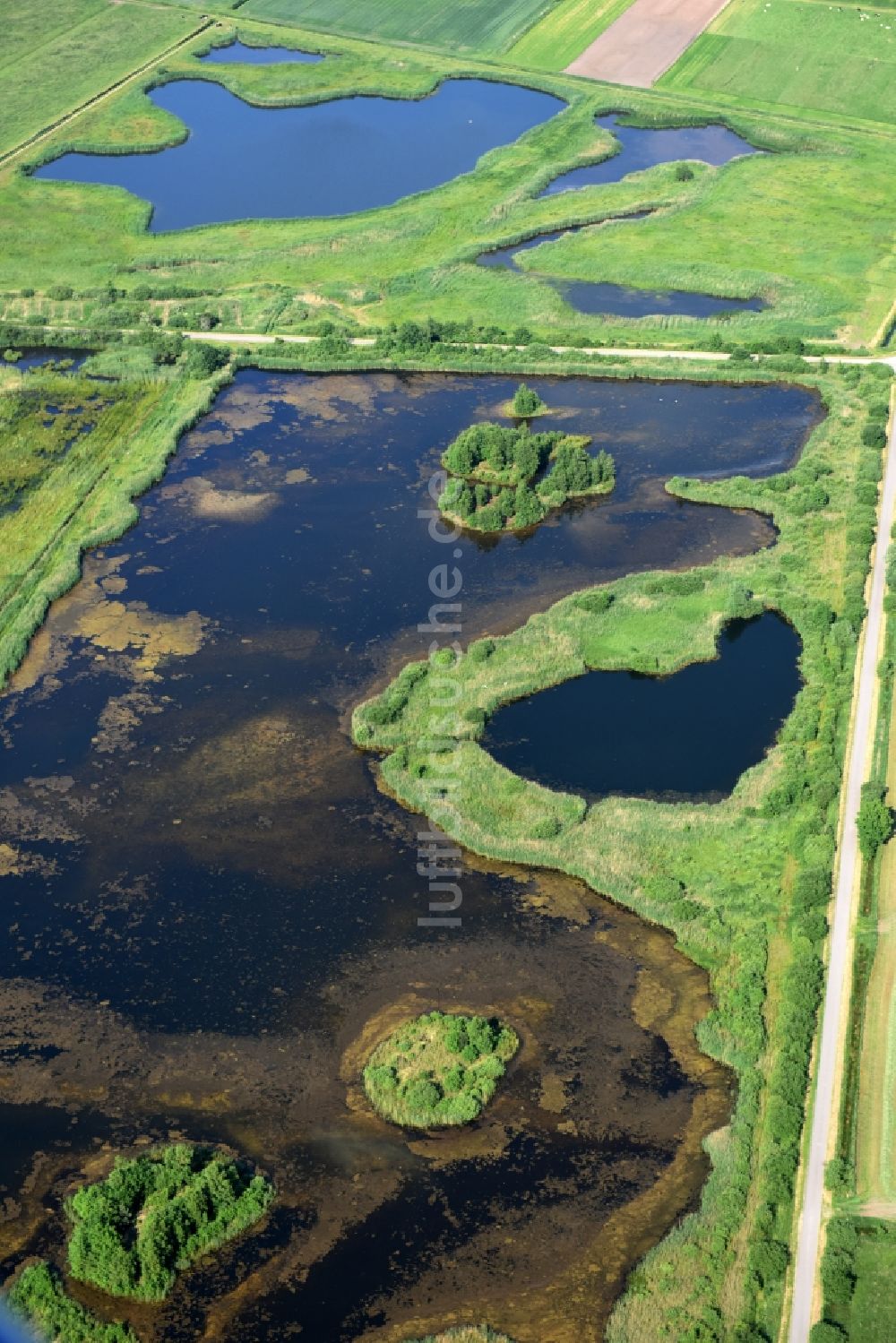 Drage aus der Vogelperspektive: Grasflächen- Strukturen einer Feld- Landschaft in Drage im Bundesland Niedersachsen