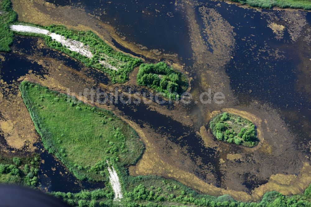 Luftaufnahme Drage - Grasflächen- Strukturen einer Feld- Landschaft in Drage im Bundesland Niedersachsen