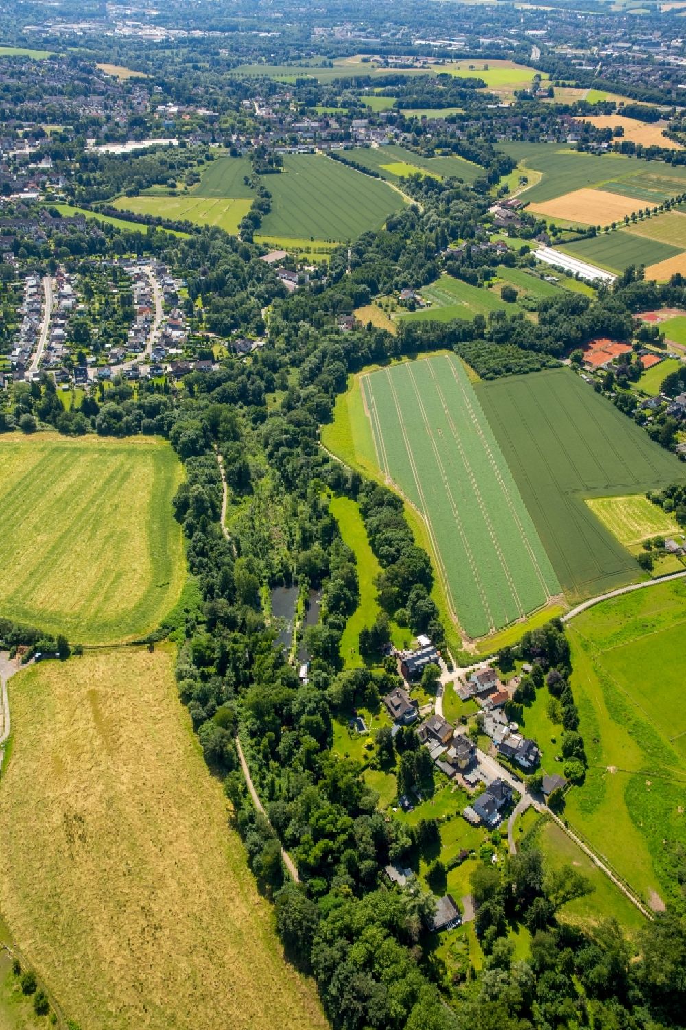 Essen aus der Vogelperspektive: Grasflächen- Strukturen einer Feld- Landschaft in Essen im Bundesland Nordrhein-Westfalen