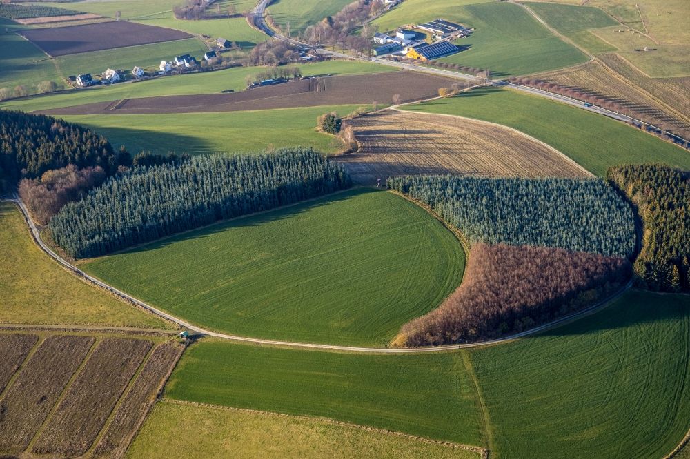 Gellinghausen aus der Vogelperspektive: Grasflächen- Strukturen einer Feld- Landschaft in Gellinghausen im Bundesland Nordrhein-Westfalen, Deutschland