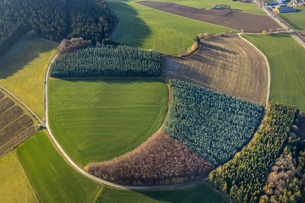 Luftbild Gellinghausen - Grasflächen- Strukturen einer Feld- Landschaft in Gellinghausen im Bundesland Nordrhein-Westfalen, Deutschland