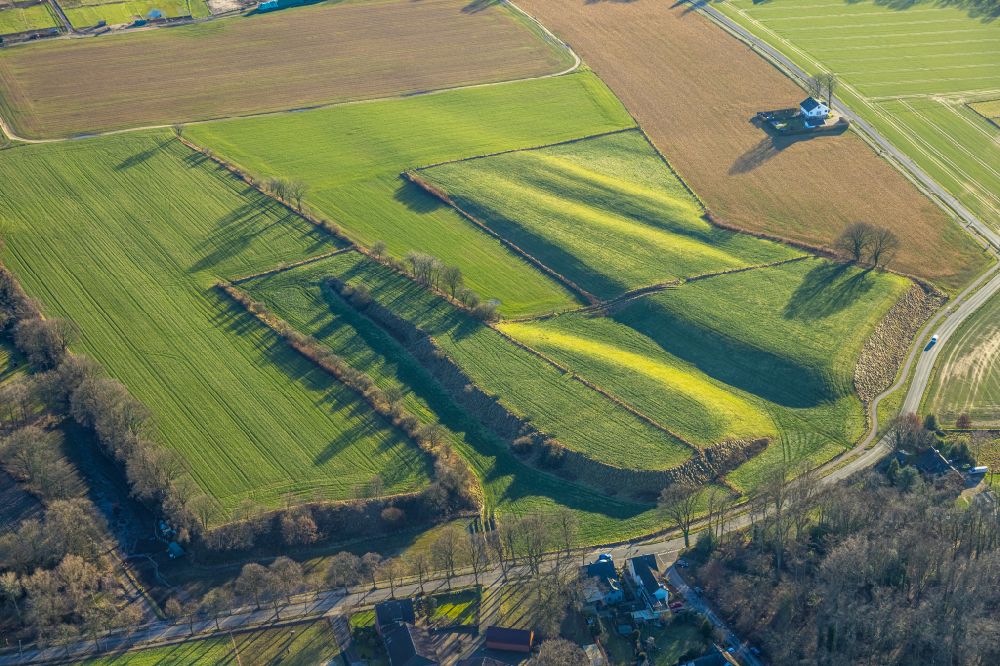 Luftaufnahme Gelsenkirchen - Grasflächen- Strukturen einer Feld- Landschaft in Gelsenkirchen im Bundesland Nordrhein-Westfalen, Deutschland