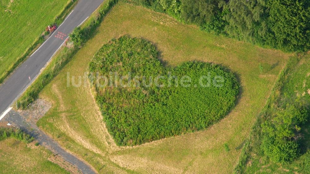 Luftbild Rauschendorf - Grasflächen- Strukturen einer Feld- Landschaft in Herzform in Rauschendorf im Bundesland Nordrhein-Westfalen, Deutschland