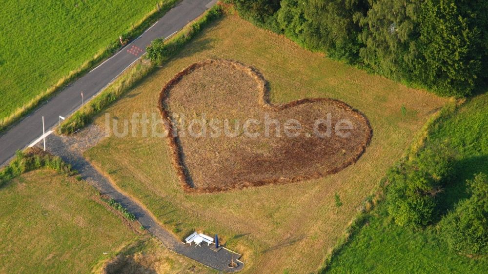 Luftaufnahme Rauschendorf - Grasflächen- Strukturen einer Feld- Landschaft in Herzform in Rauschendorf im Bundesland Nordrhein-Westfalen, Deutschland