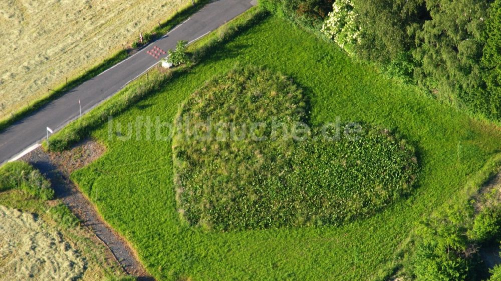 Luftaufnahme Rauschendorf - Grasflächen- Strukturen einer Feld- Landschaft in Herzform in Rauschendorf im Bundesland Nordrhein-Westfalen, Deutschland