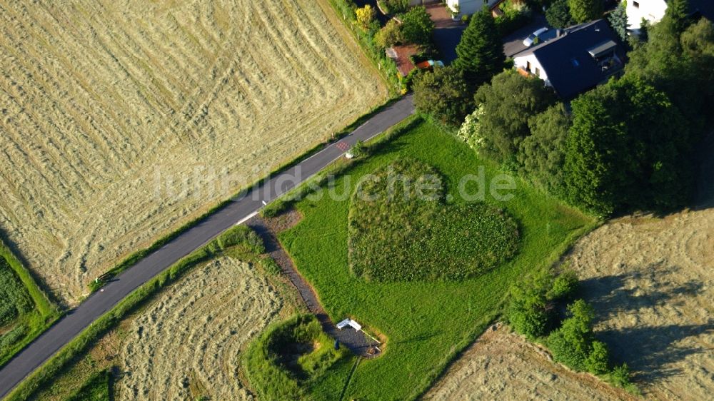 Rauschendorf von oben - Grasflächen- Strukturen einer Feld- Landschaft in Herzform in Rauschendorf im Bundesland Nordrhein-Westfalen, Deutschland