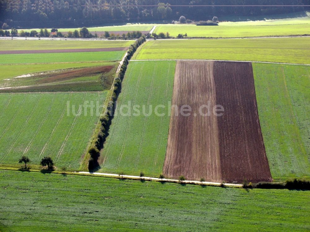Luftbild Hohenfelden - Grasflächen- Strukturen einer Feld- Landschaft in Hohenfelden im Bundesland Thüringen