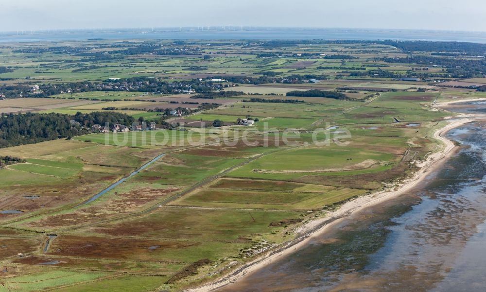 Luftbild Witsum - Grasflächen- Strukturen einer Feld- Landschaft am Küstenbereich der Nordsee in Witsum im Bundesland Schleswig-Holstein, Deutschland