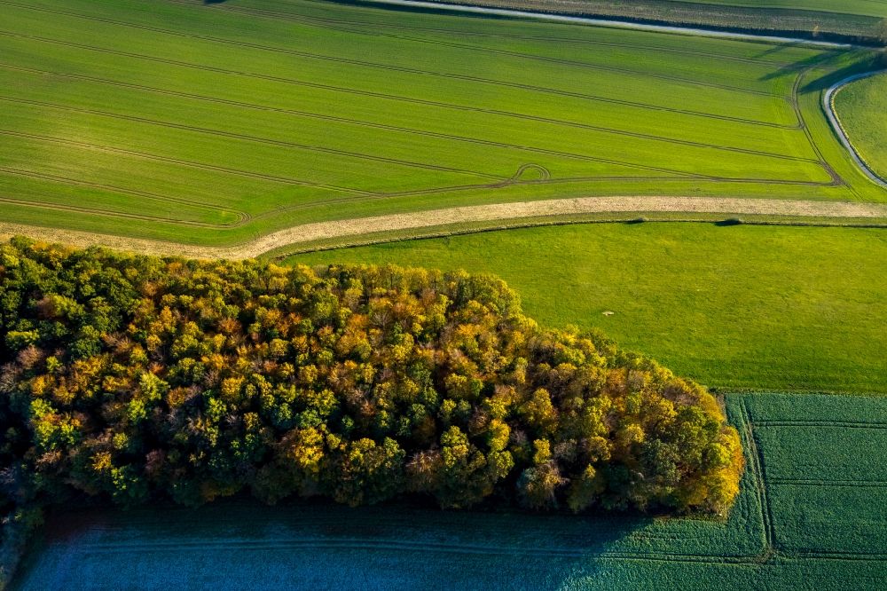 Luftbild Meschede - Grasflächen- Strukturen einer Feld- Landschaft in Meschede im Bundesland Nordrhein-Westfalen, Deutschland